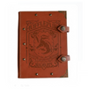 Kaiso Harry Potter diary - Multicolour pages (Hufflepuff)