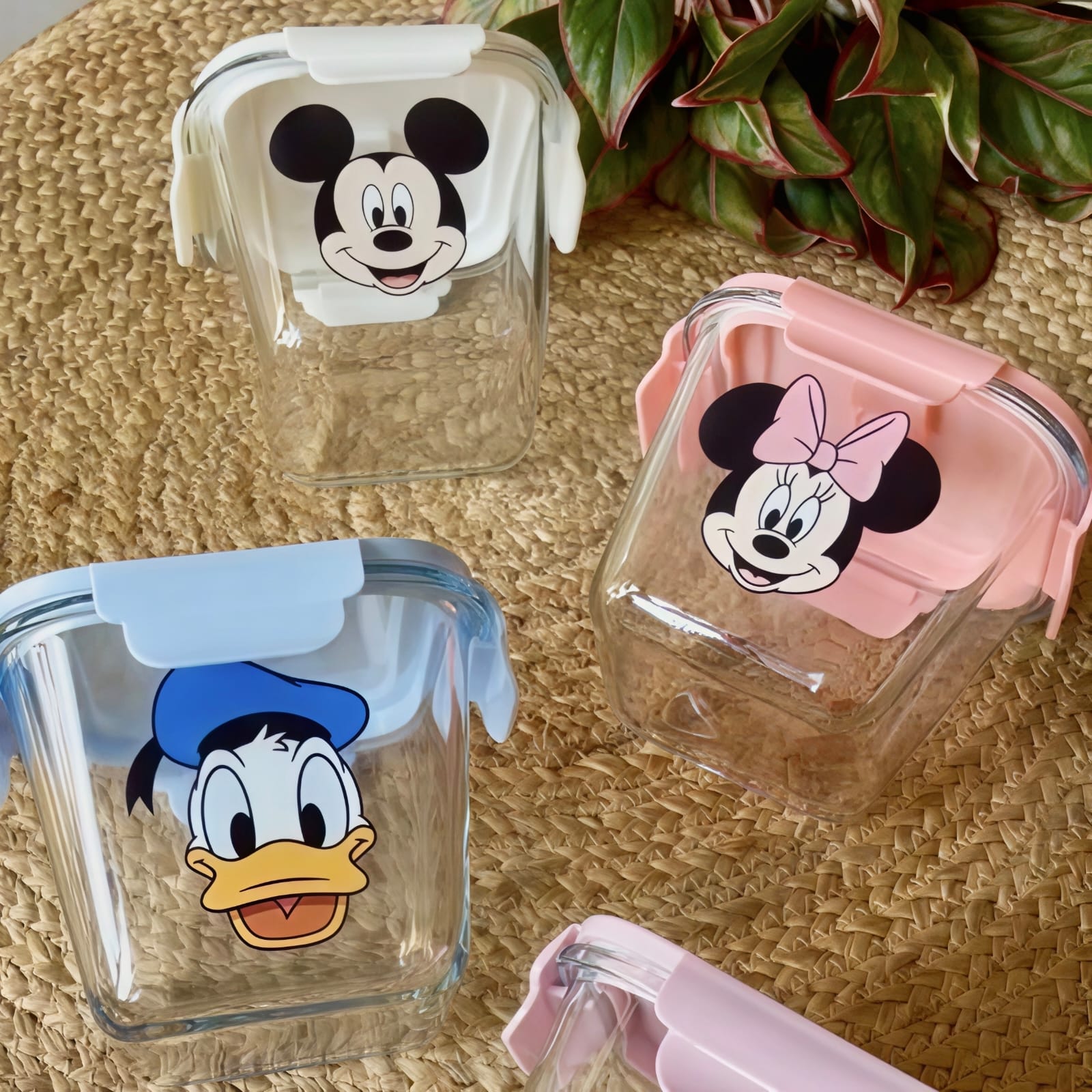 Kaiso Mickey & Friends Glass Storage Jars — Cute Airtight Containers