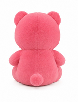Kaiso Cute Bear Plush Toy – 35cm